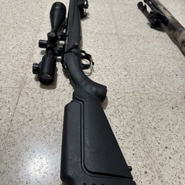 Ruger american 22
