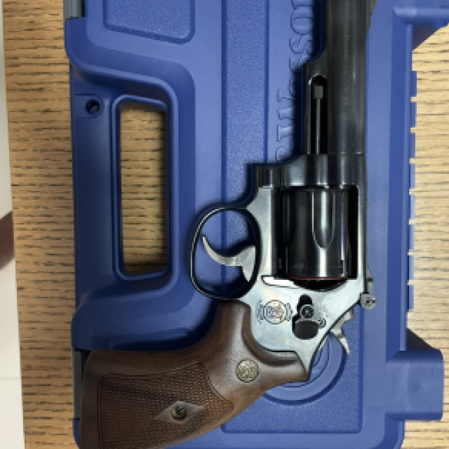SW - Modelo 19 Classic
