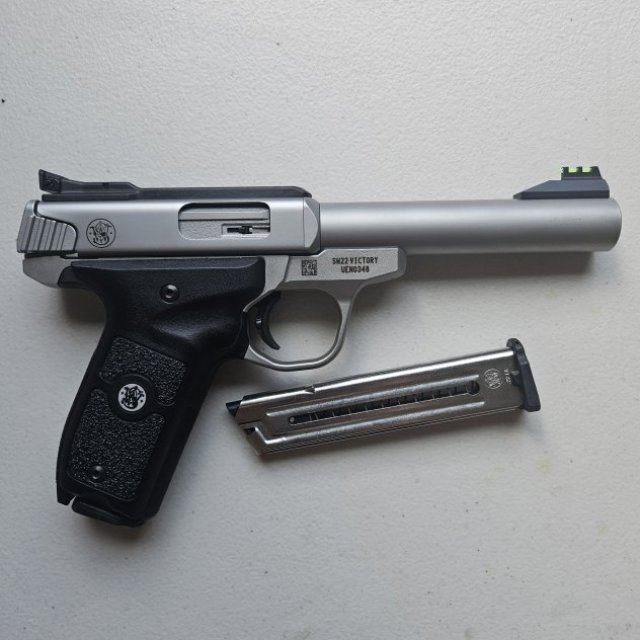 Smith and Wesson SW22