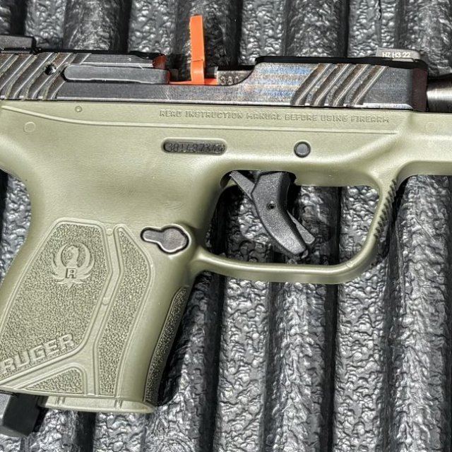 Ruger LCP Max .380