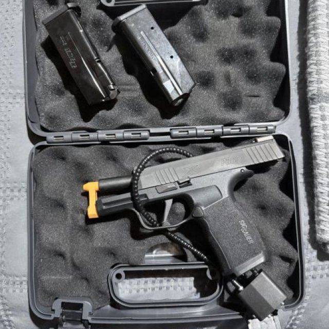 Sig Sauer P365X