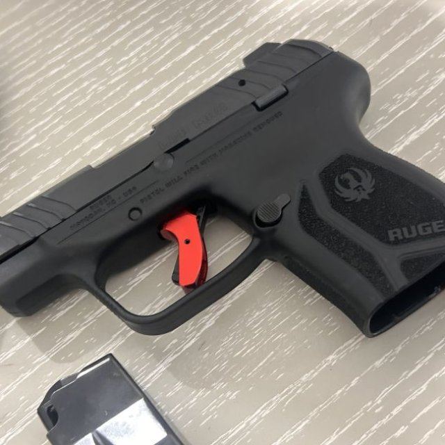 Ruger LCP Max .380