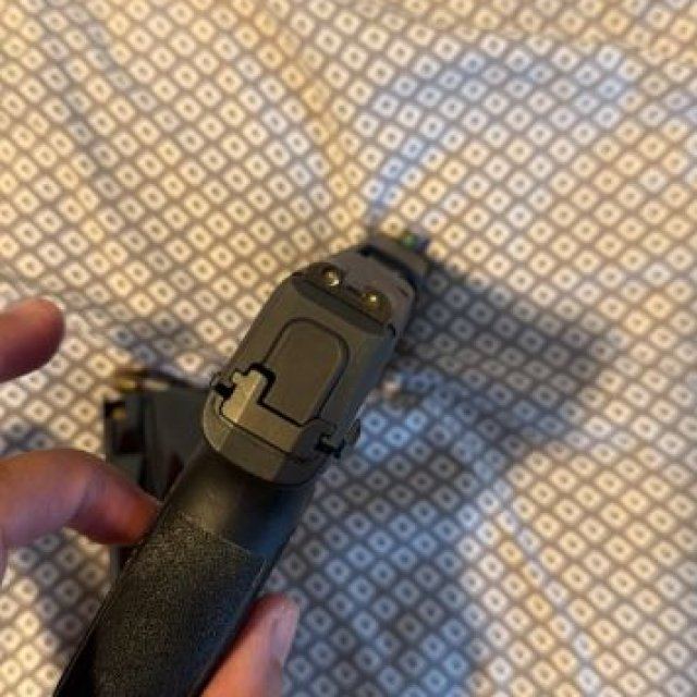 SIGSAUER P365