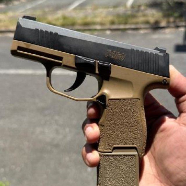 Sigsauer P365 $500 fijos traspaso en manati pagado por el comprador.