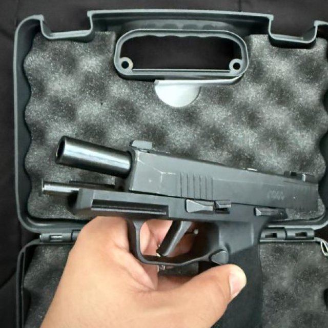 Sig P365XL