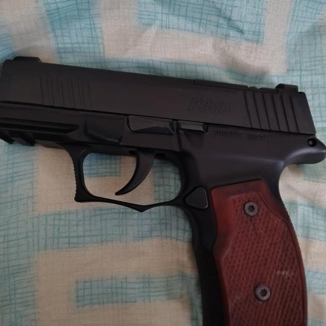 Frame Sharps bross P365Sig sauar