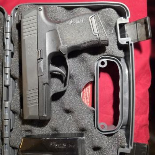 Sig sauer p365
