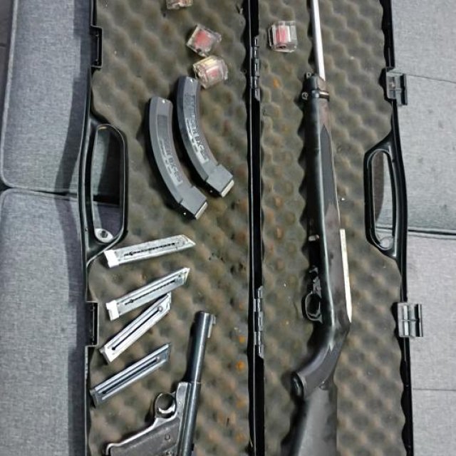 Ruger 10/22 + ruger Mark 1