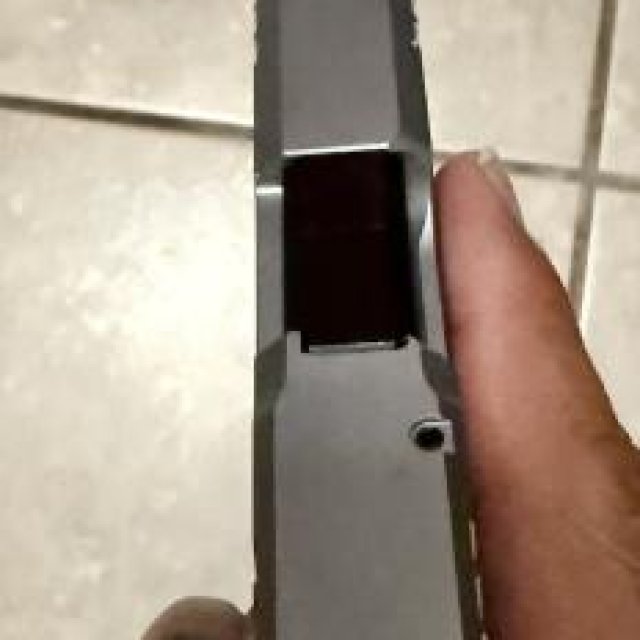 Ruger LCP max