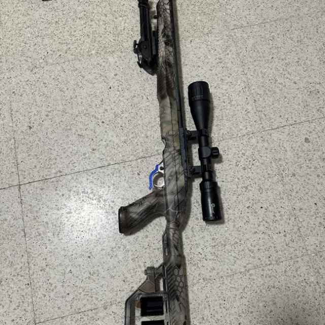 Rifle Ruger .22