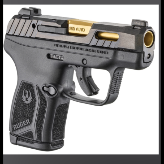 Ruger lcp max