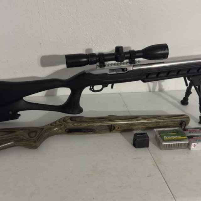 Ruger 10/22 Target