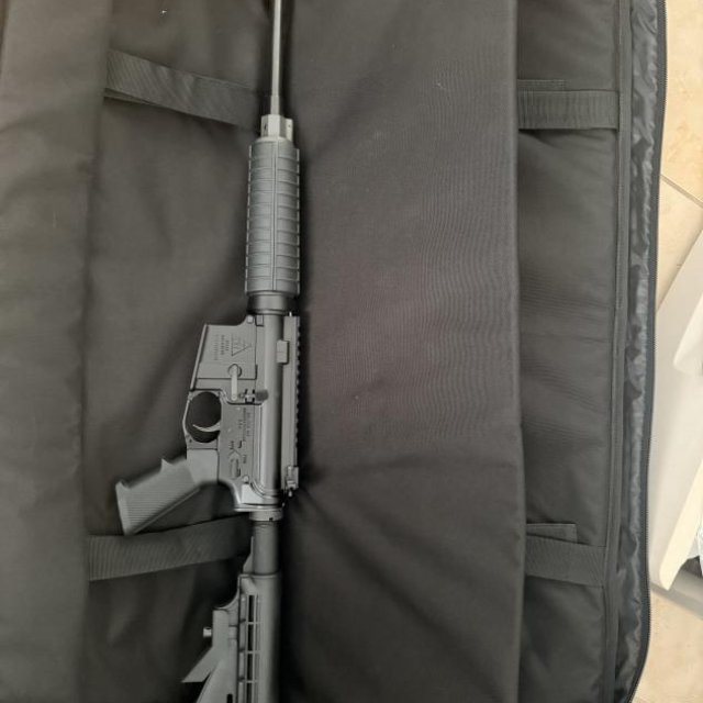 Delton AR15 5.56/.223