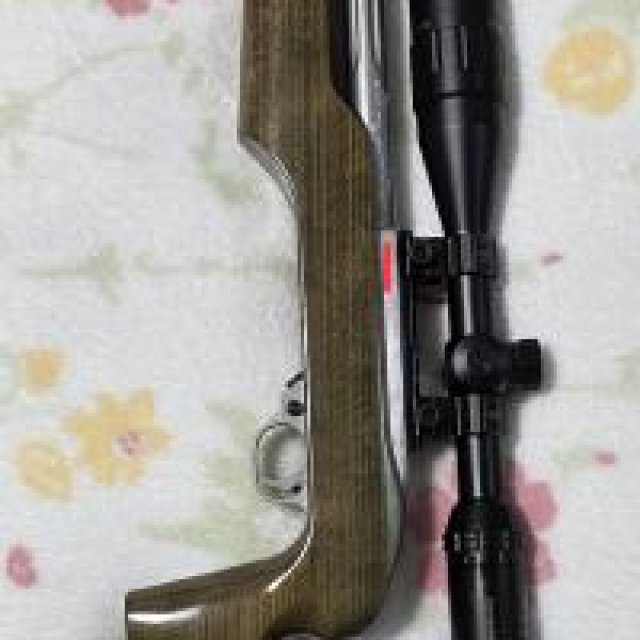 Ruger 1022 Heavy Barrel