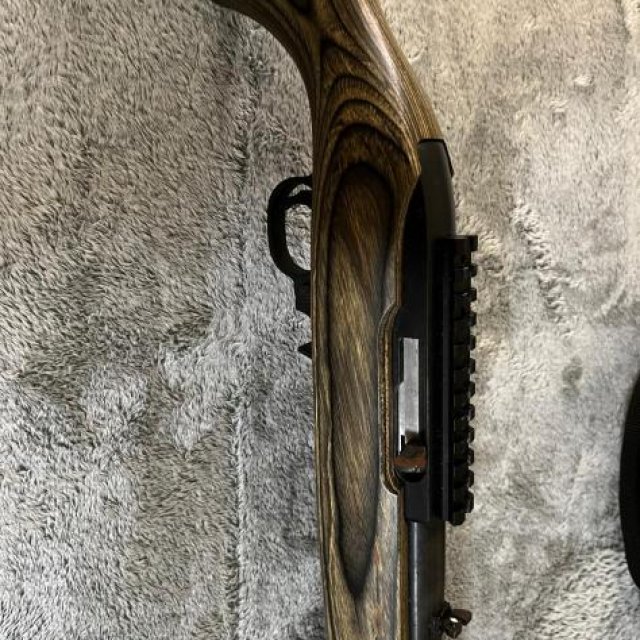 Rifle Ruger 10/22 - calibre .22 (Excelente y con muchos extras)