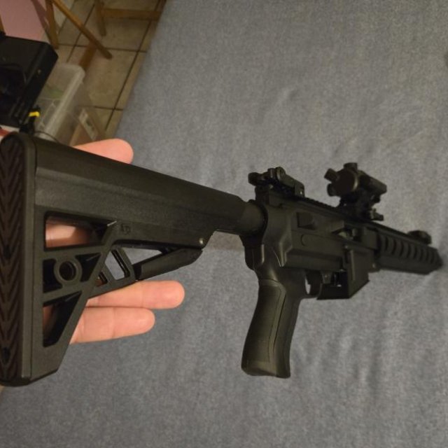 Ruger 10/22