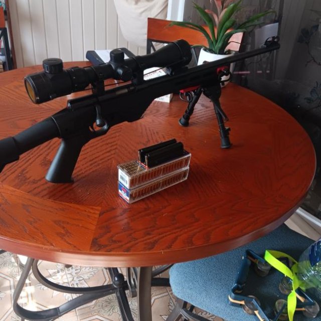 Rifle cal.22 LR