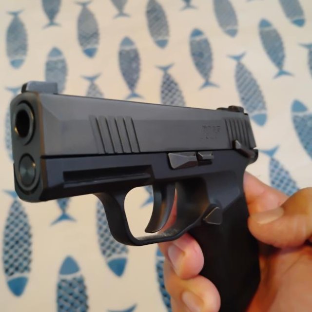 Sig Sauer p365