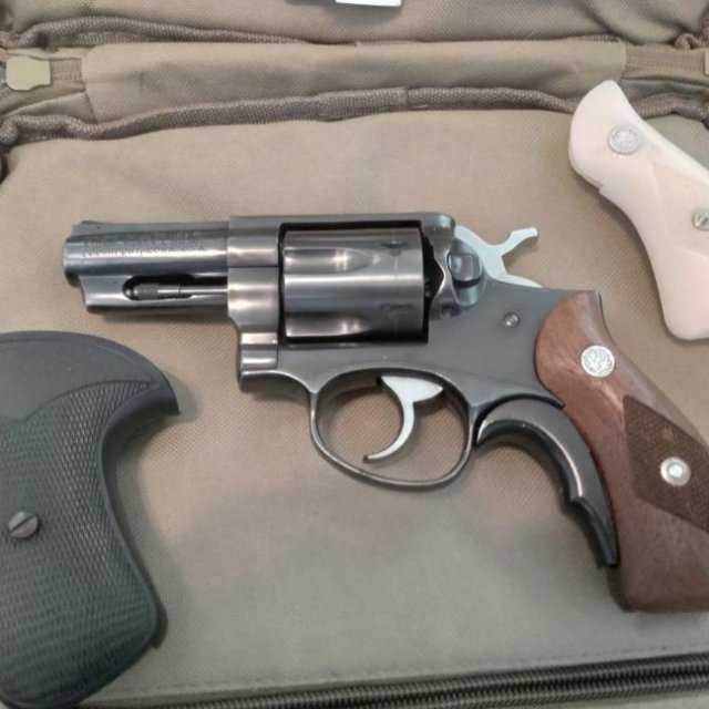 Ruger Speed Six