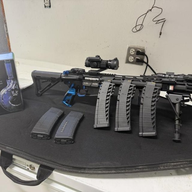 AR 15