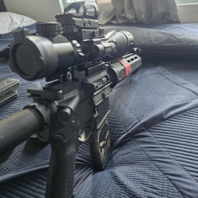 AR15 Springfield
