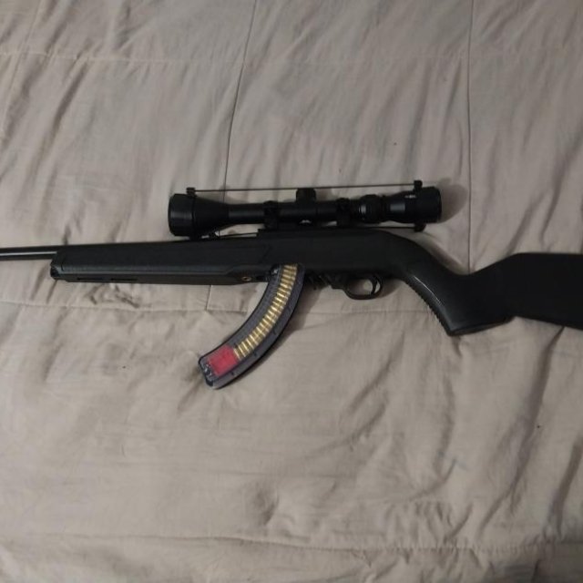 Ruger 10/22