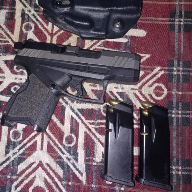 Taurus GX4
