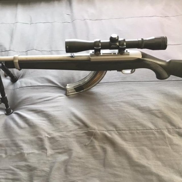 Tiger 10/22