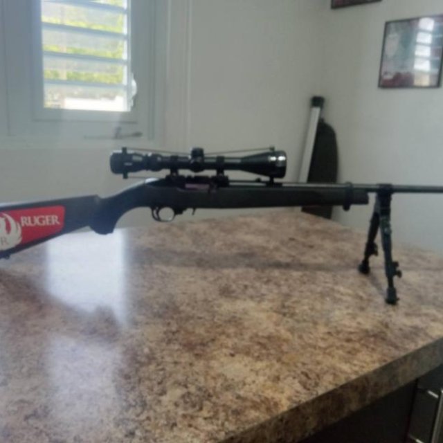 Ruger 10/22