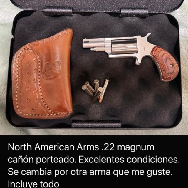 North American ARM .22 Magnum