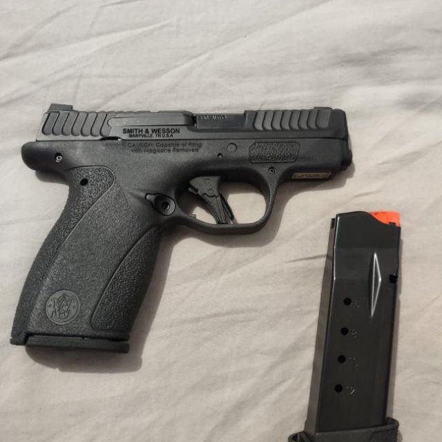 S&W Bodyguard 2.0