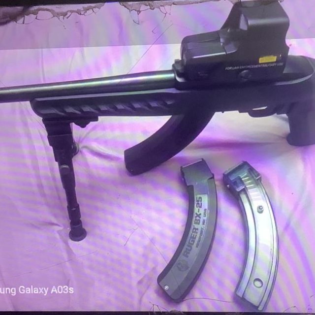 Ruger 10/22