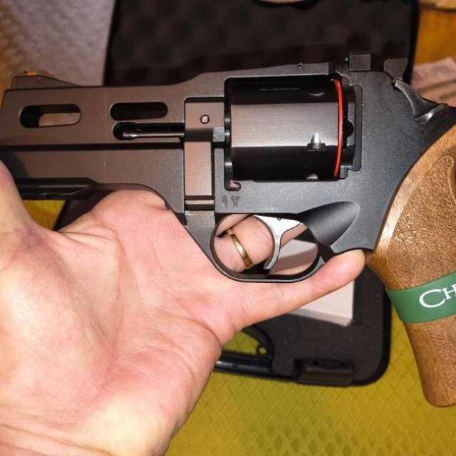 Rhino Chiappa 40DS 357 mag.