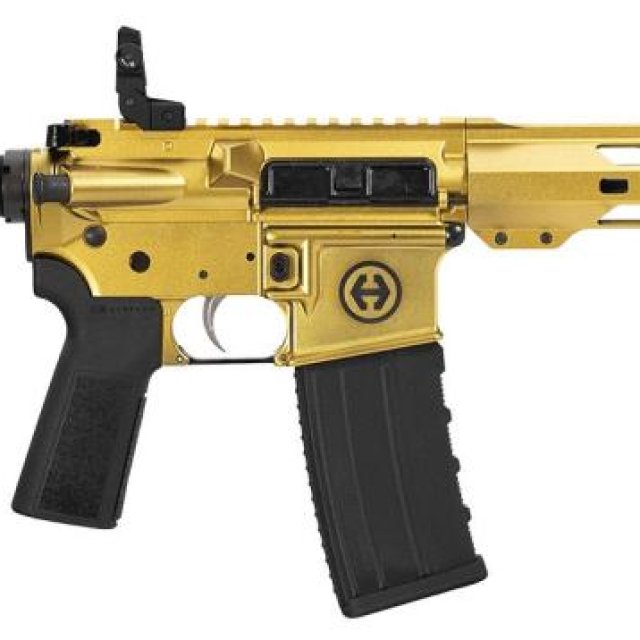 HP-15 GOLD PISTOL (.300BLK)