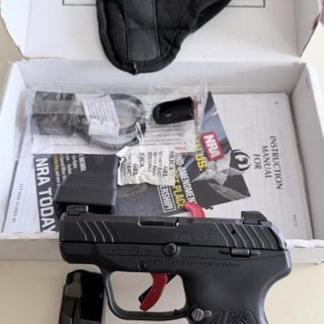 Ruger LCP Max Elite