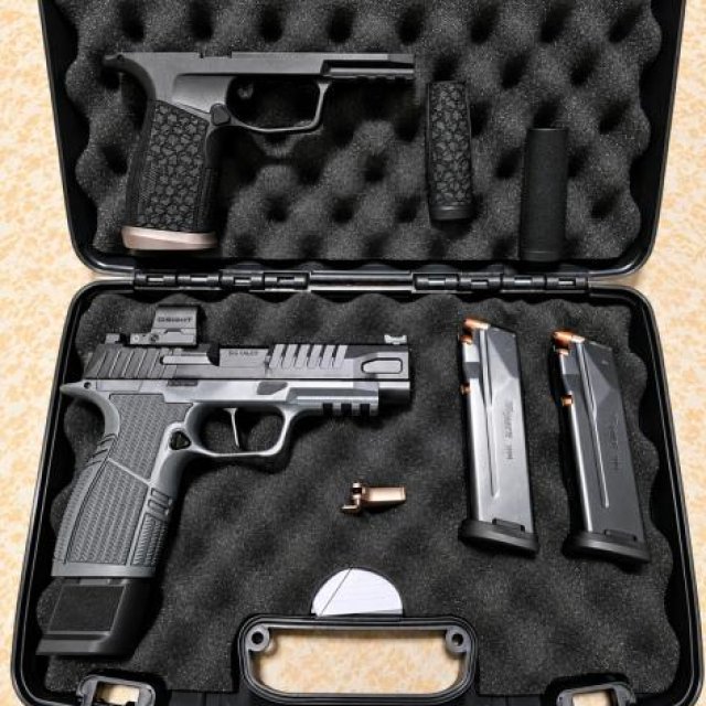 Se vende sig saber p365 fuse