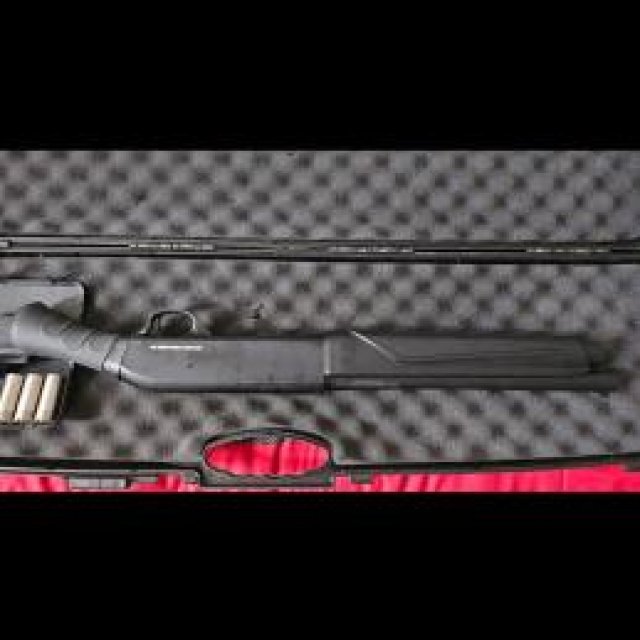 Semi Automatica calibre 12
