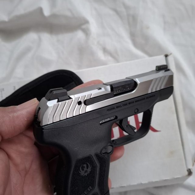 Ruger lcp max