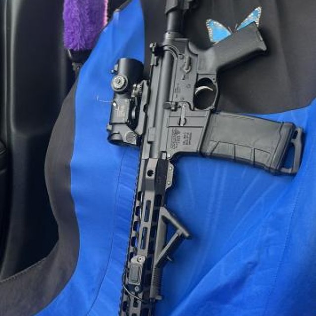 DPMS Panther Arms