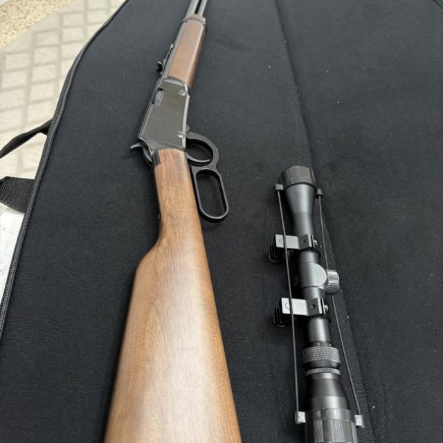 Henry 22LR Lever Action