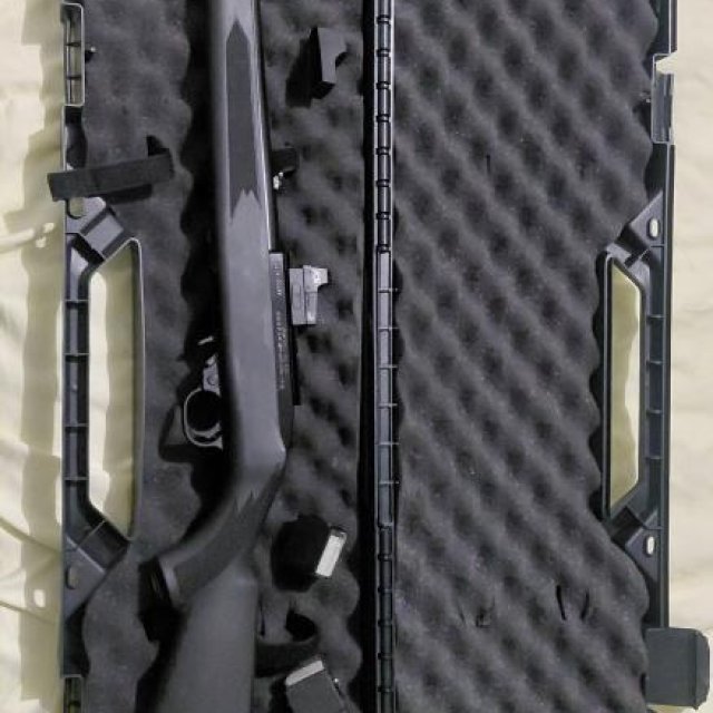Ruger 10/22
