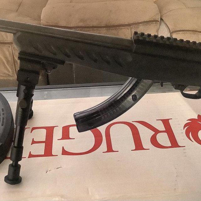 Ruger 10/22