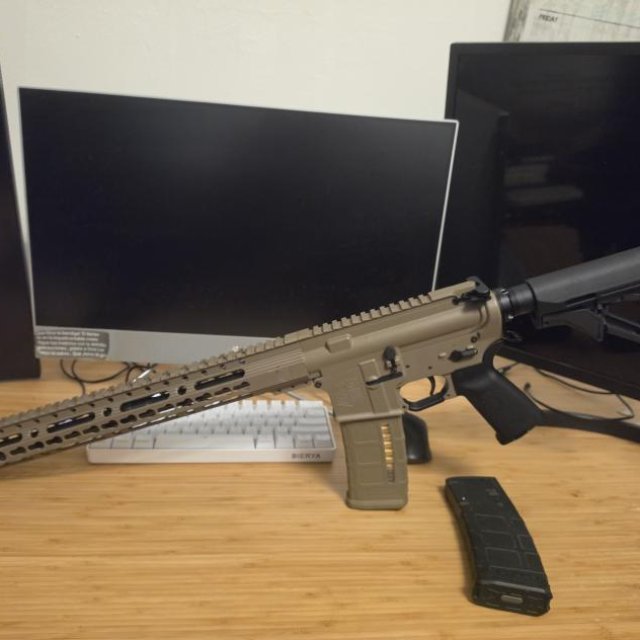 AR 15