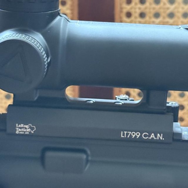 Custom Built AR 15