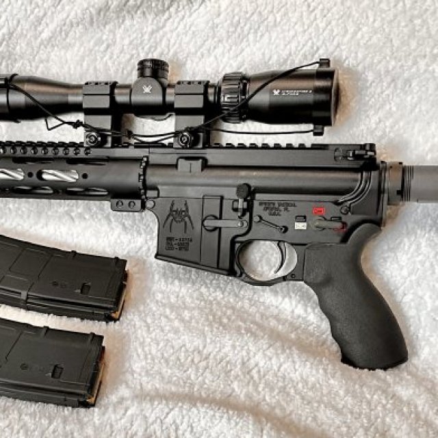 AR-15 Custom Built