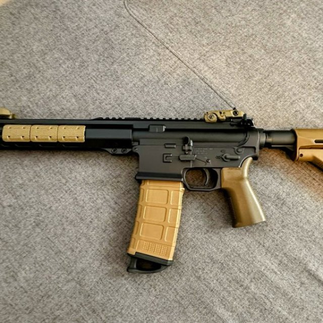 AR-15 Multiples calibres inscritos