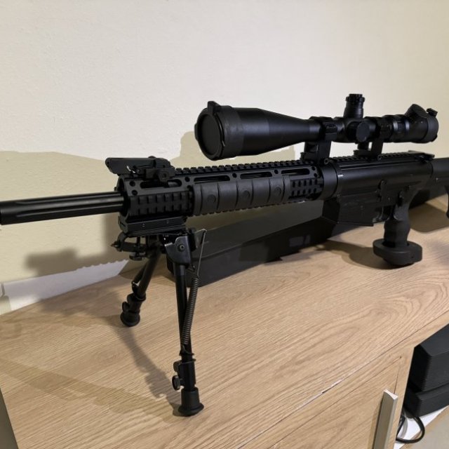 Rifle AR-10