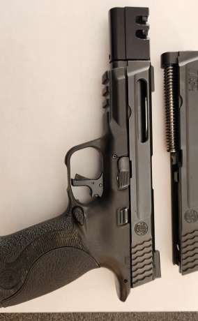 S&W M&P9 9mm, Armas de fuego en PR