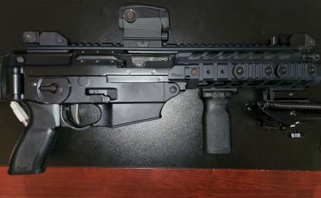 Sig Sauer 556 Classic SWAT, Armas de fuego en PR