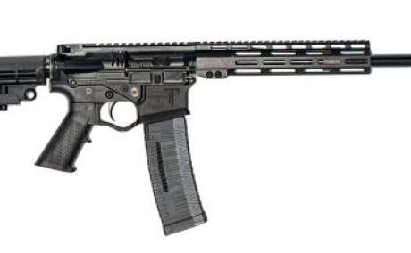 AR 15, Armas de fuego en PR